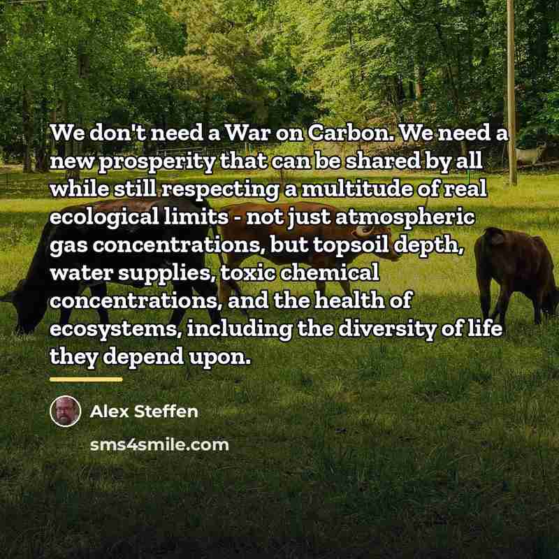 “We don't need a War on Carbon. We need a…” quote by Alex Steffen