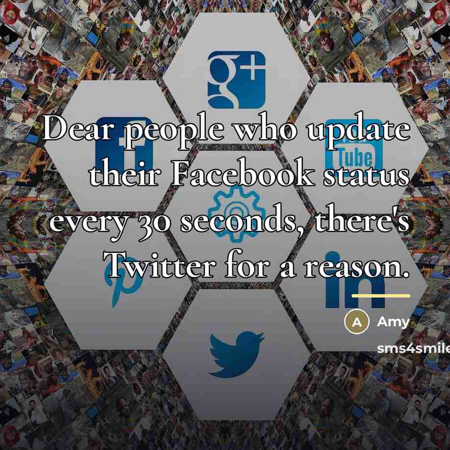 “Dear people who update their Facebook status every 30 seconds,…” quote by Amy
