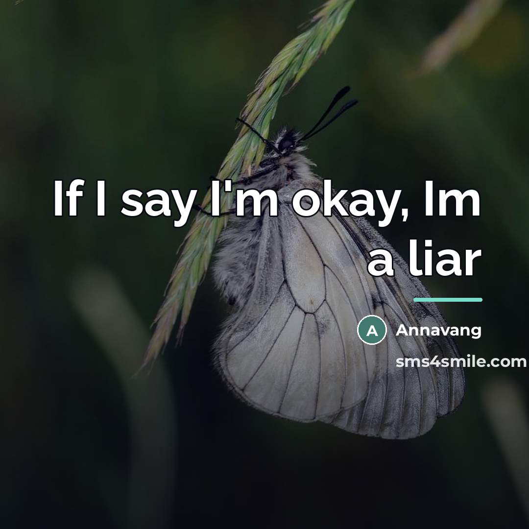 “If I say I'm okay, Im a liar…” quote by Annavang