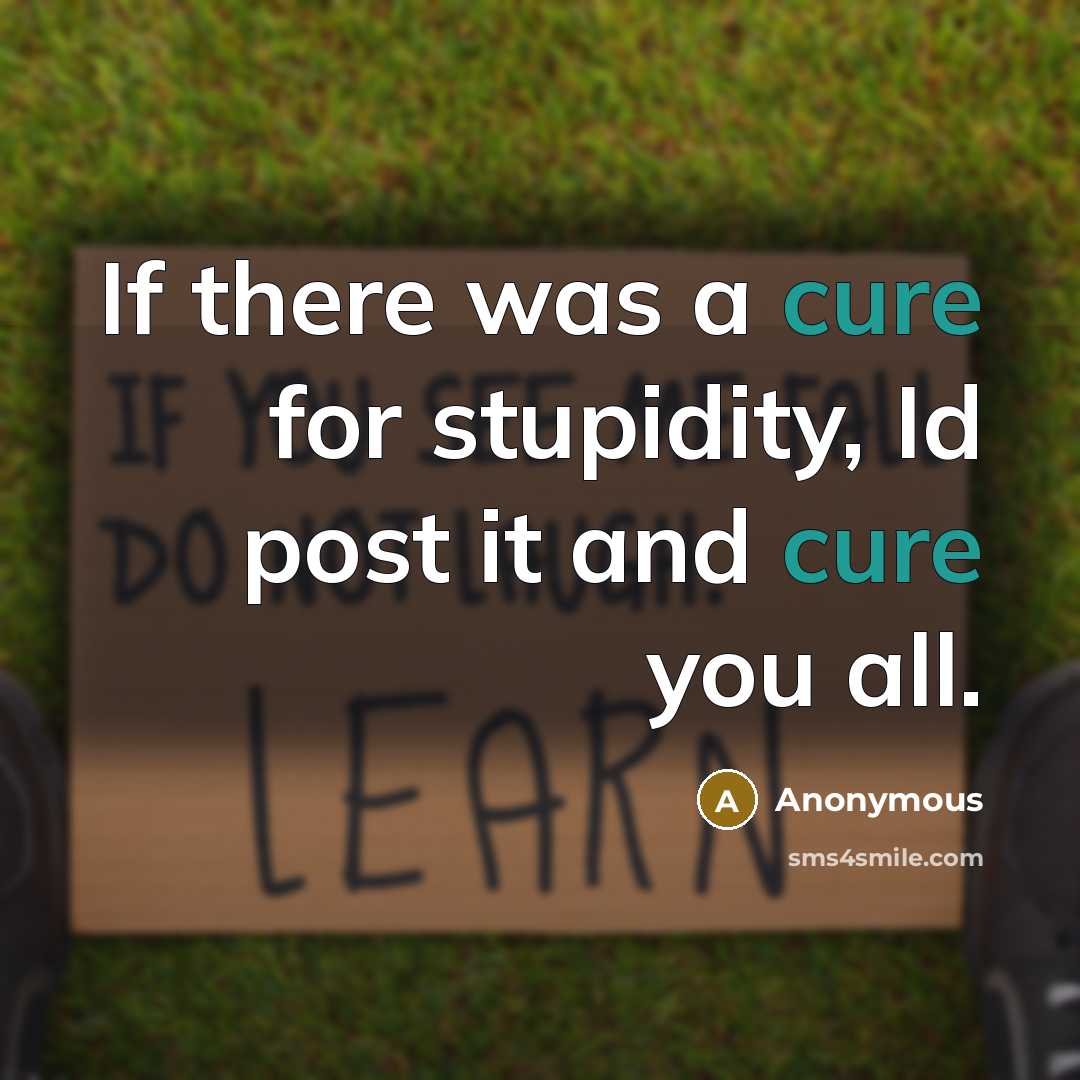 “If there was a cure for stupidity, Id post it and cure you all.” quote by Anonymous