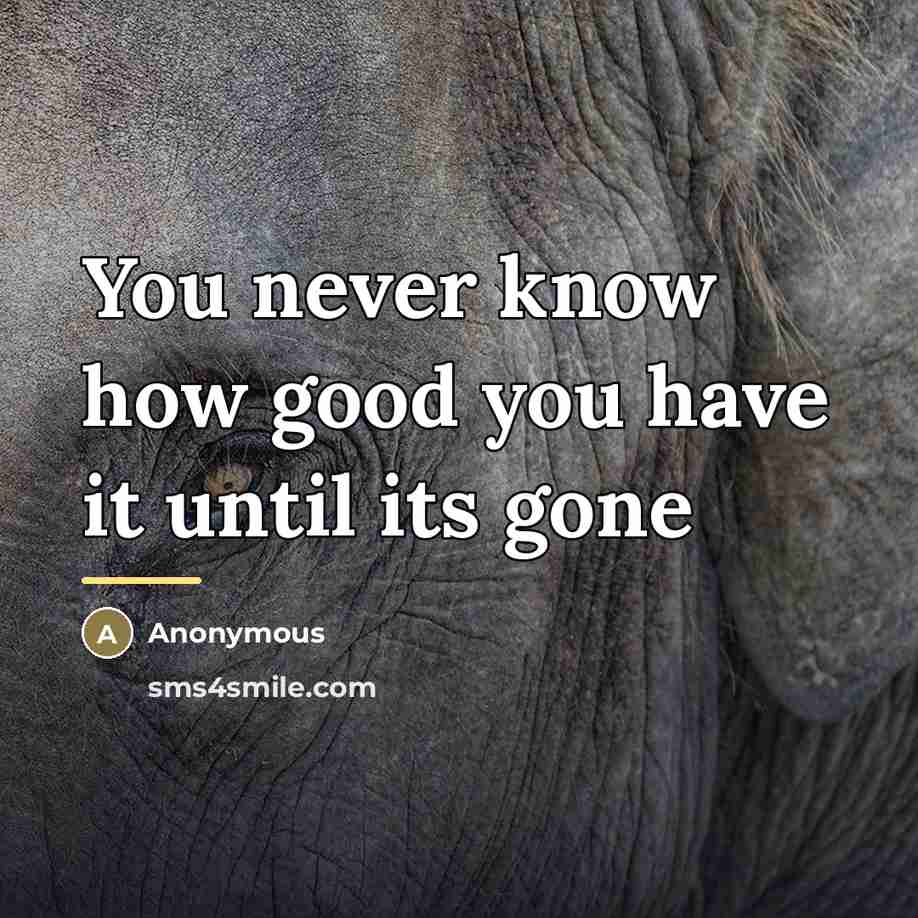 “You never know how good you have it until its…” quote by Anonymous