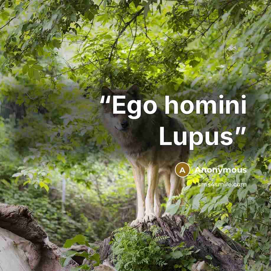 “Ego homini Lupus” quote by Anonymous