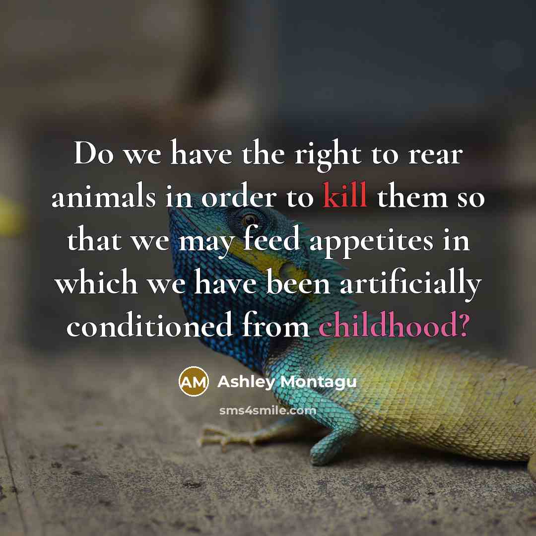 “Do we have the right to rear animals in order…” quote by Ashley Montagu