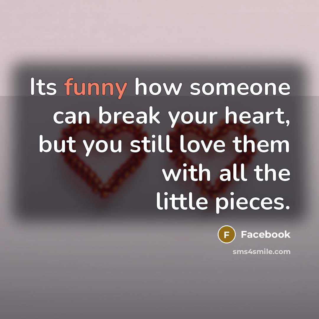 “Its funny how someone can break your heart, but you…” quote by Facebook