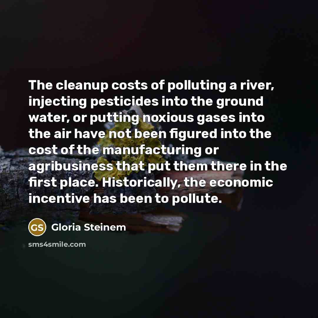 “The cleanup costs of polluting a river, injecting pesticides into…” quote by Gloria Steinem