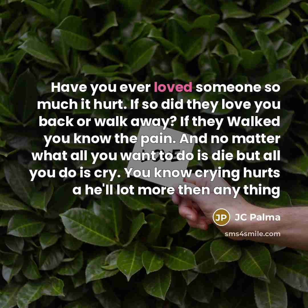 “Have you ever loved someone so much it hurt. If so did they love you back or walk away? If they Walked you know the pain. And no matter what all you want to do is die but all you do is cry. You know crying hurts a he'll lot more then any thing” quote by JC Palma