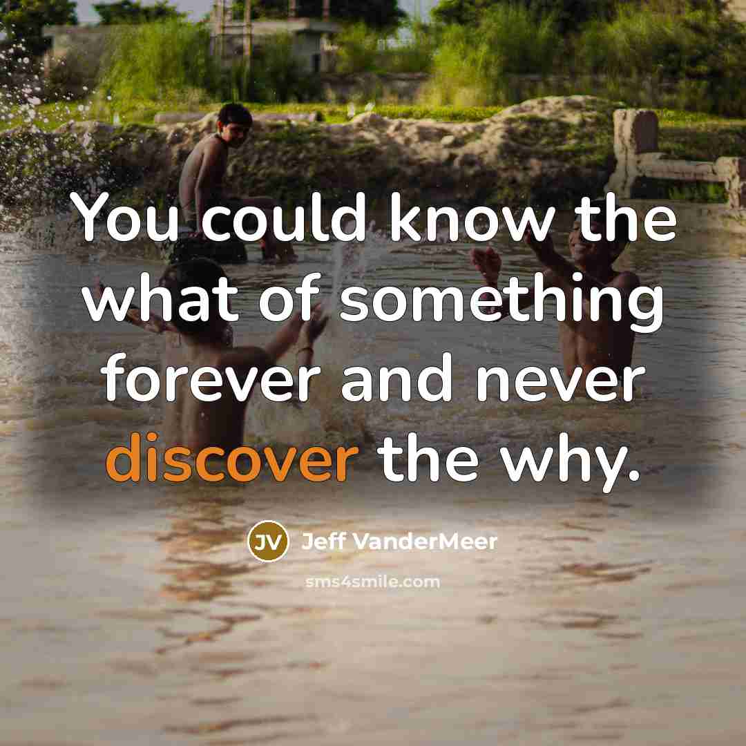 “You could know the what of something forever and never discover the why.” quote by Jeff VanderMeer