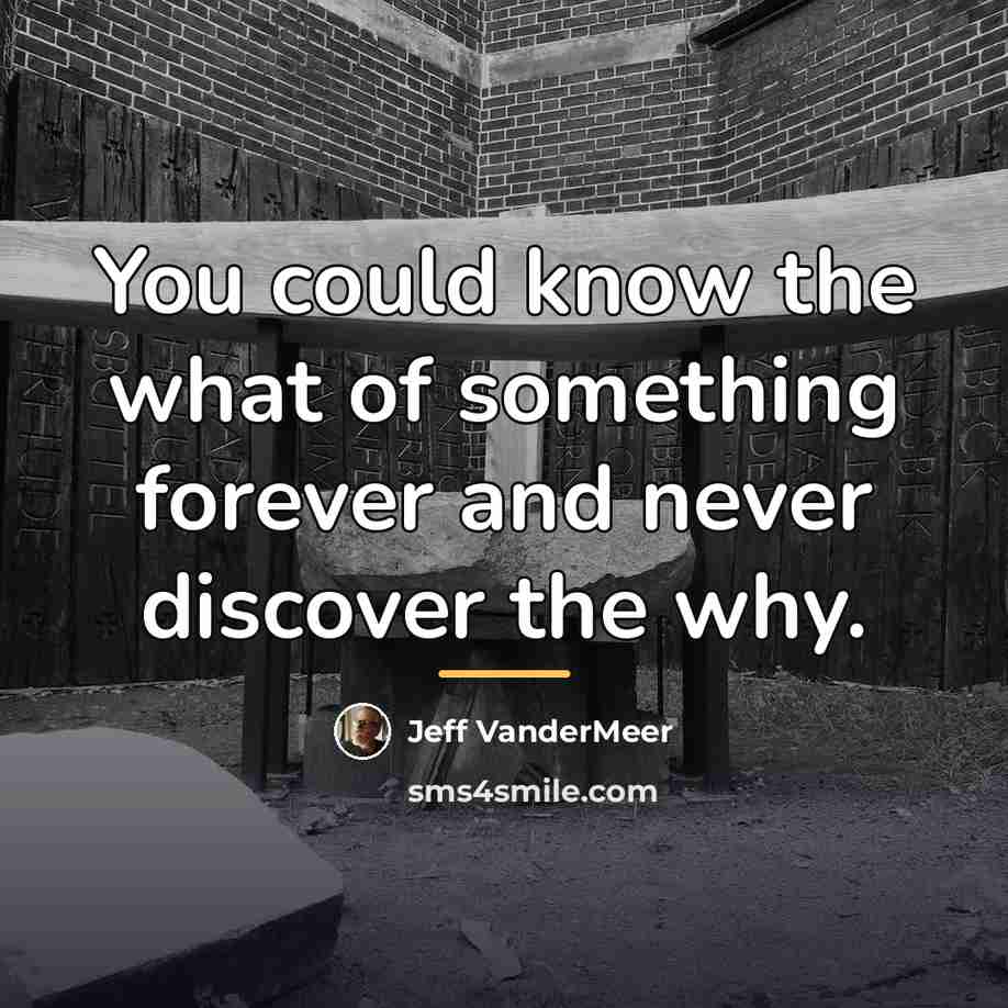 “You could know the what of something forever and never…” quote by Jeff VanderMeer