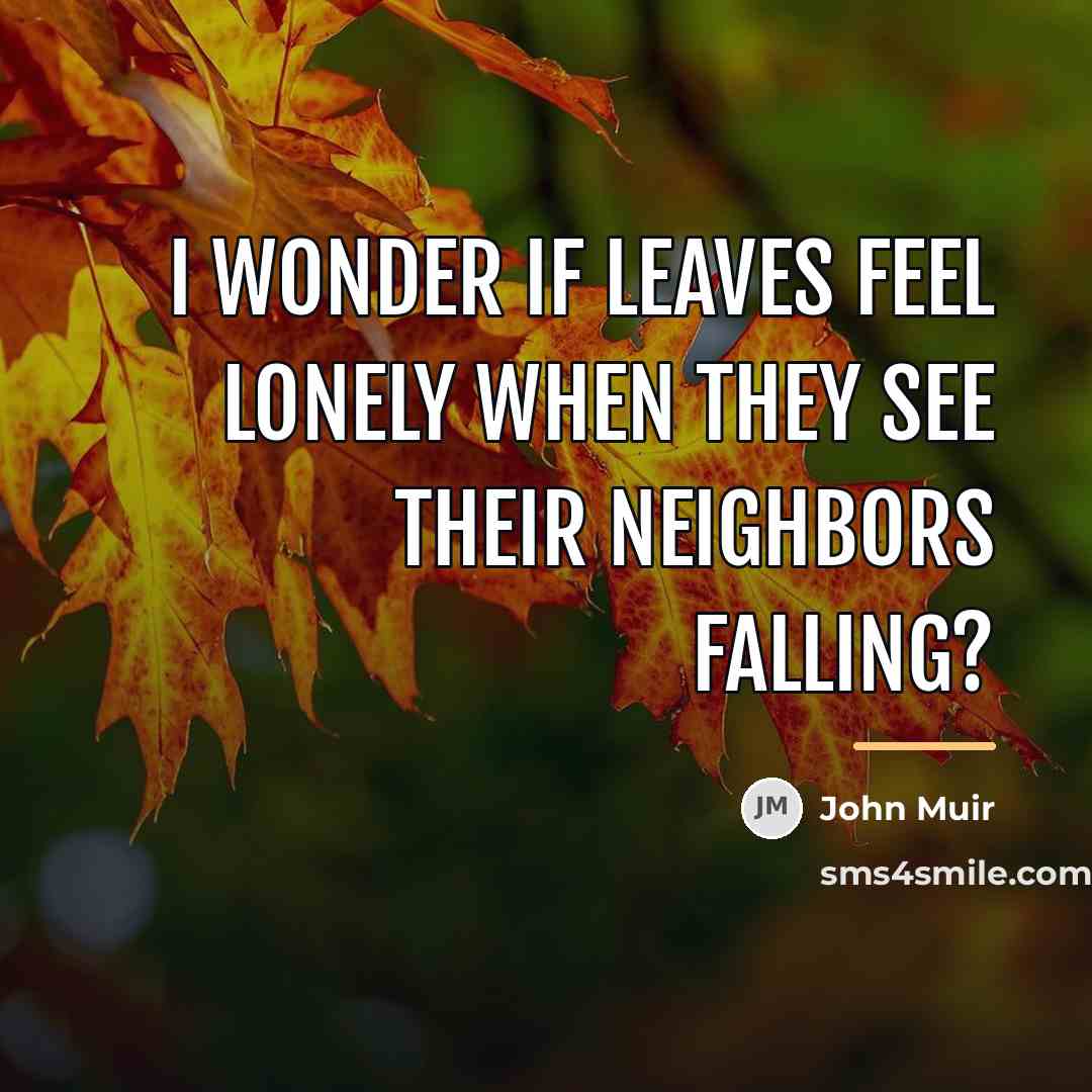 “I wonder if leaves feel lonely when they see their…” quote by John Muir