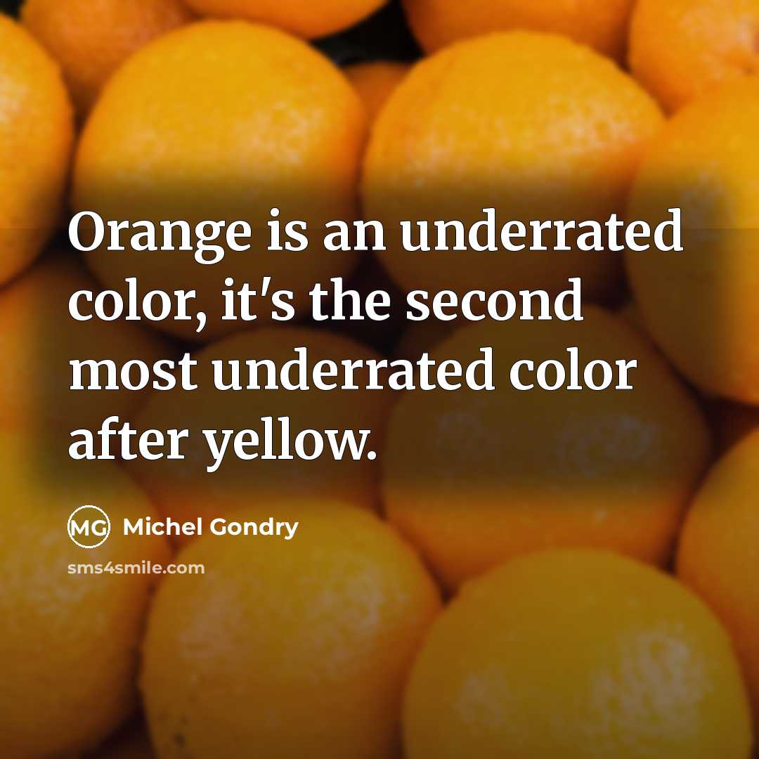 “Orange is an underrated color, it's the second most underrated…” quote by Michel Gondry