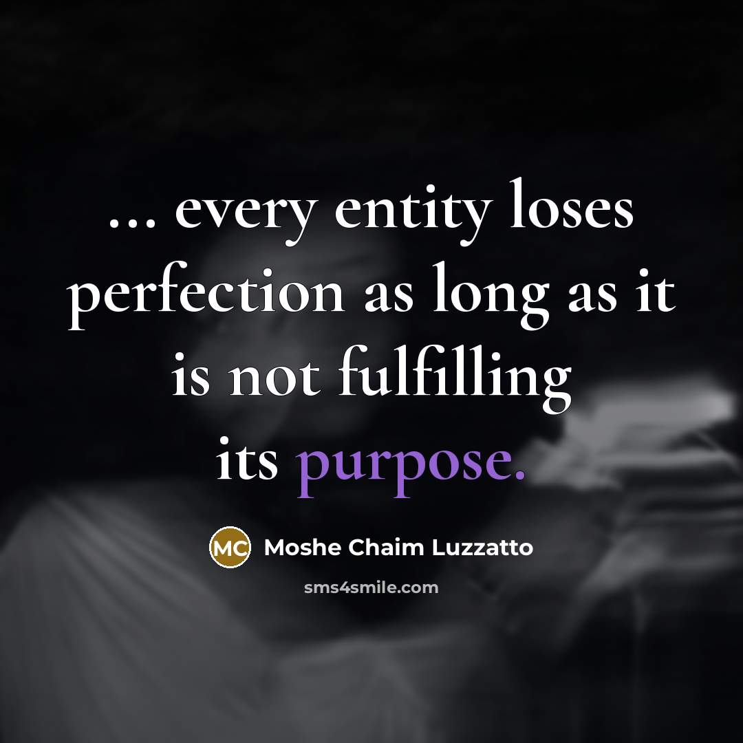 “... every entity loses perfection as long as it is…” quote by Moshe Chaim Luzzatto