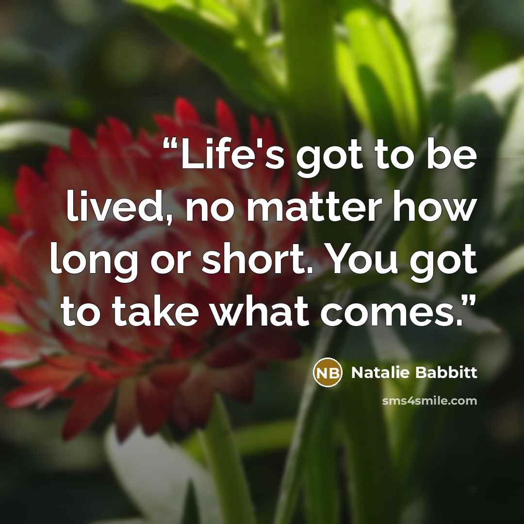 “Life's got to be lived, no matter how long or short. You got to take what comes.” quote by Natalie Babbitt