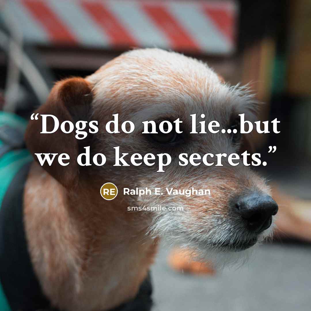 “Dogs do not lie...but we do keep secrets.” quote by Ralph E. Vaughan