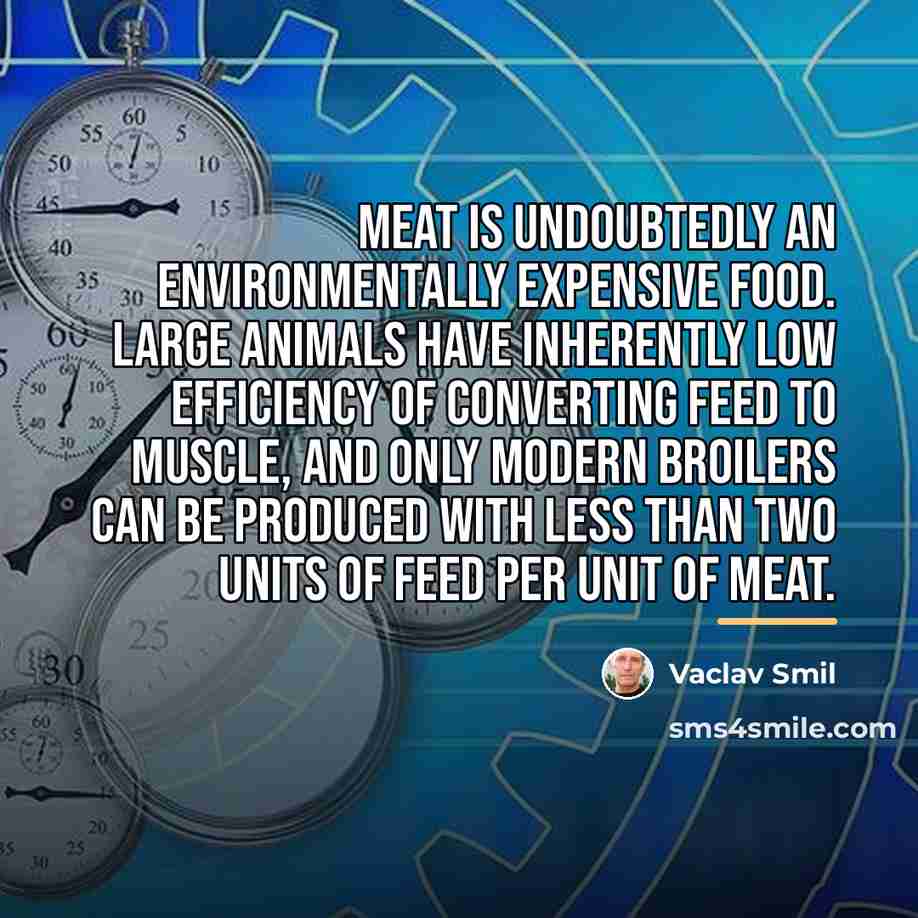 “Meat is undoubtedly an environmentally expensive food. Large animals have…” quote by Vaclav Smil