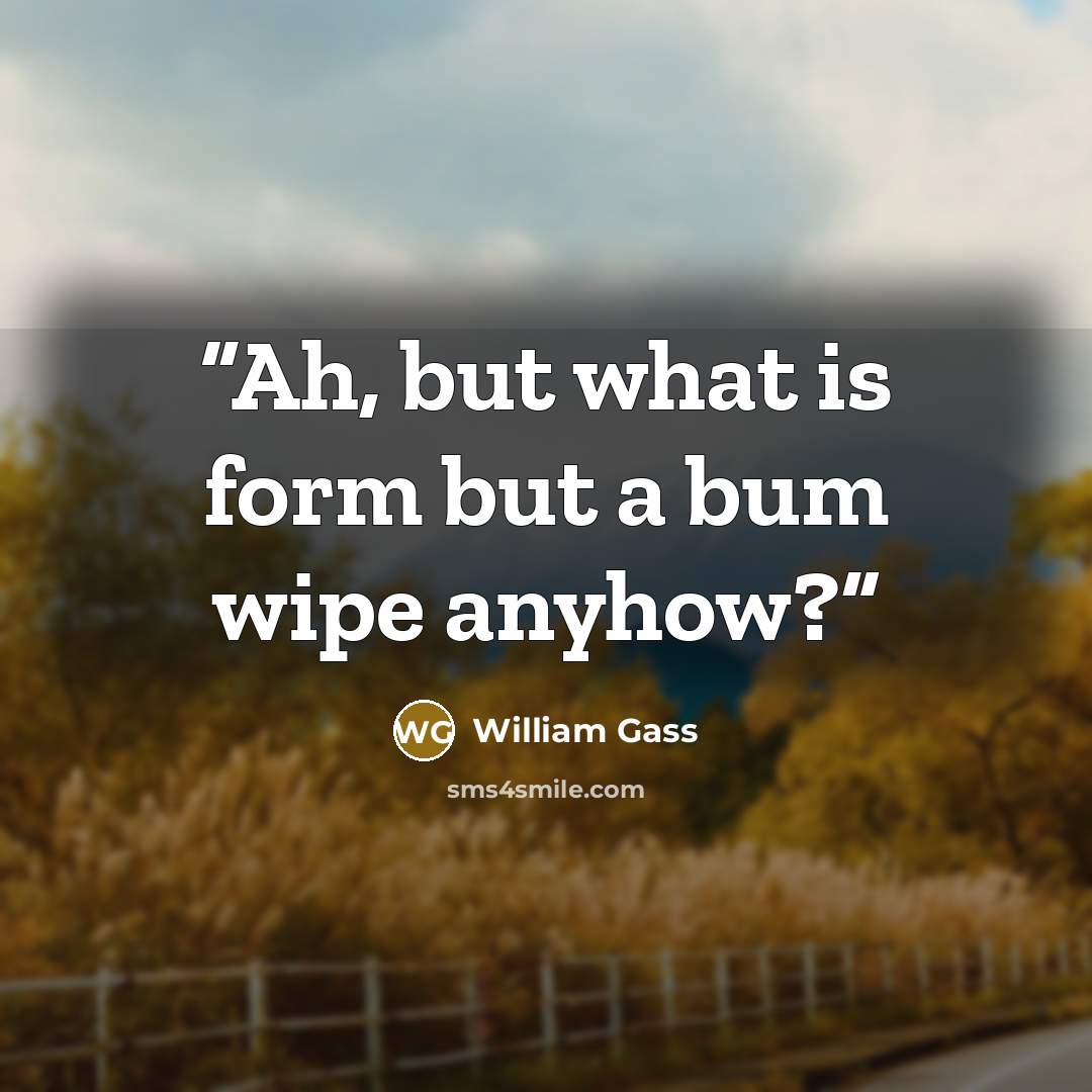 “Ah, but what is form but a bum wipe anyhow?” quote by William Gass