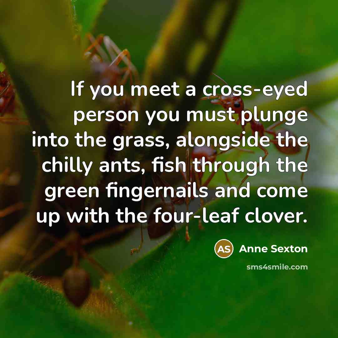 “If you meet a cross-eyed person you must plunge into…” quote by Anne Sexton