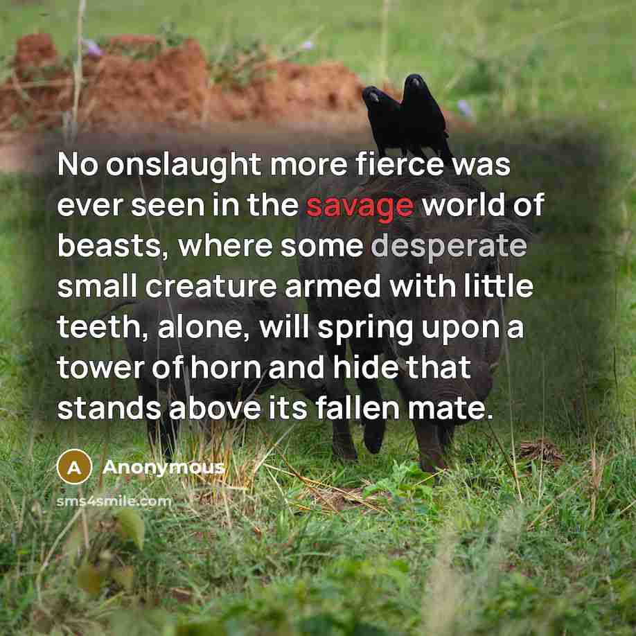 “No onslaught more fierce was ever seen in the savage…” quote by Anonymous
