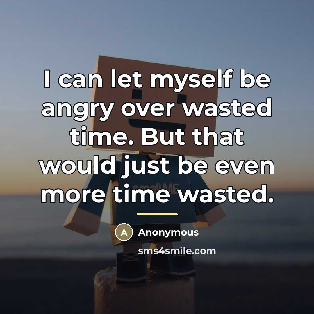 “I can let myself be angry over wasted time. But…” quote by Anonymous
