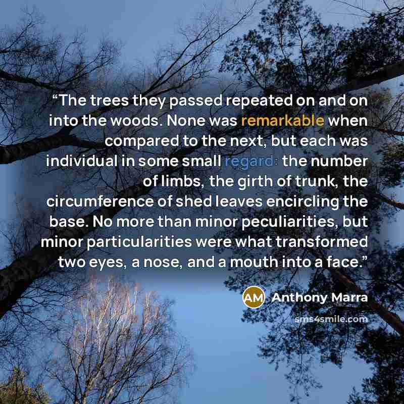 “The trees they passed repeated on and on into the woods. None was remarkable when compared to the next, but each was individual in some small regard: the number of limbs, the girth of trunk, the circumference of shed leaves encircling the base. No more than minor peculiarities, but minor…” quote by Anthony Marra