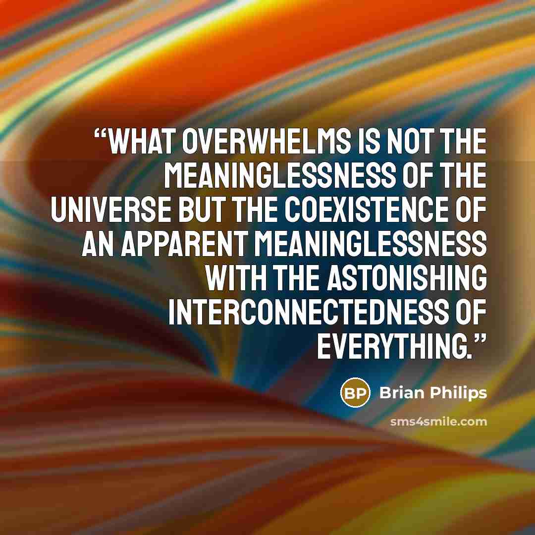 “what overwhelms is not the meaninglessness of the universe but the coexistence of an apparent meaninglessness with the astonishing interconnectedness of everything.” quote by Brian Philips