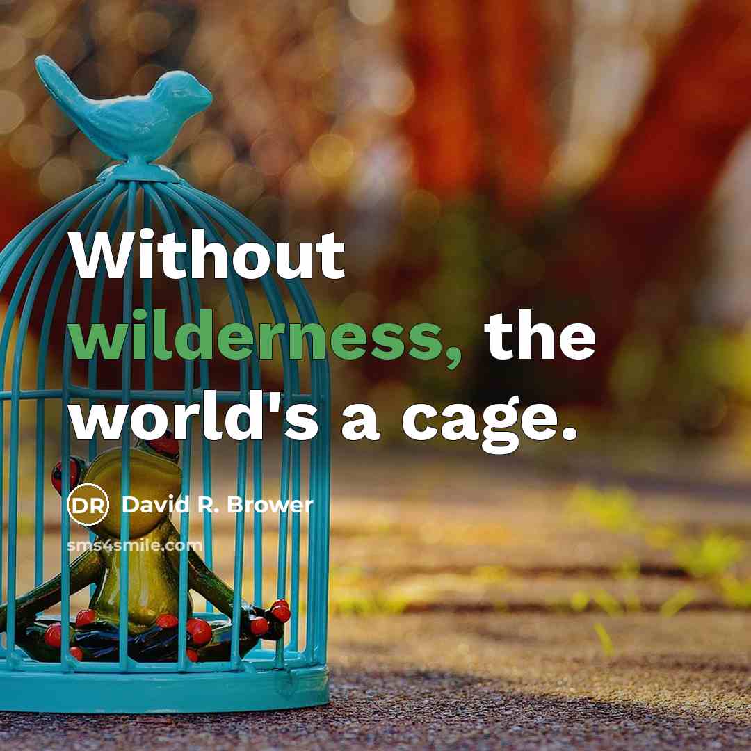 “Without wilderness, the world's a cage.” quote by David R. Brower