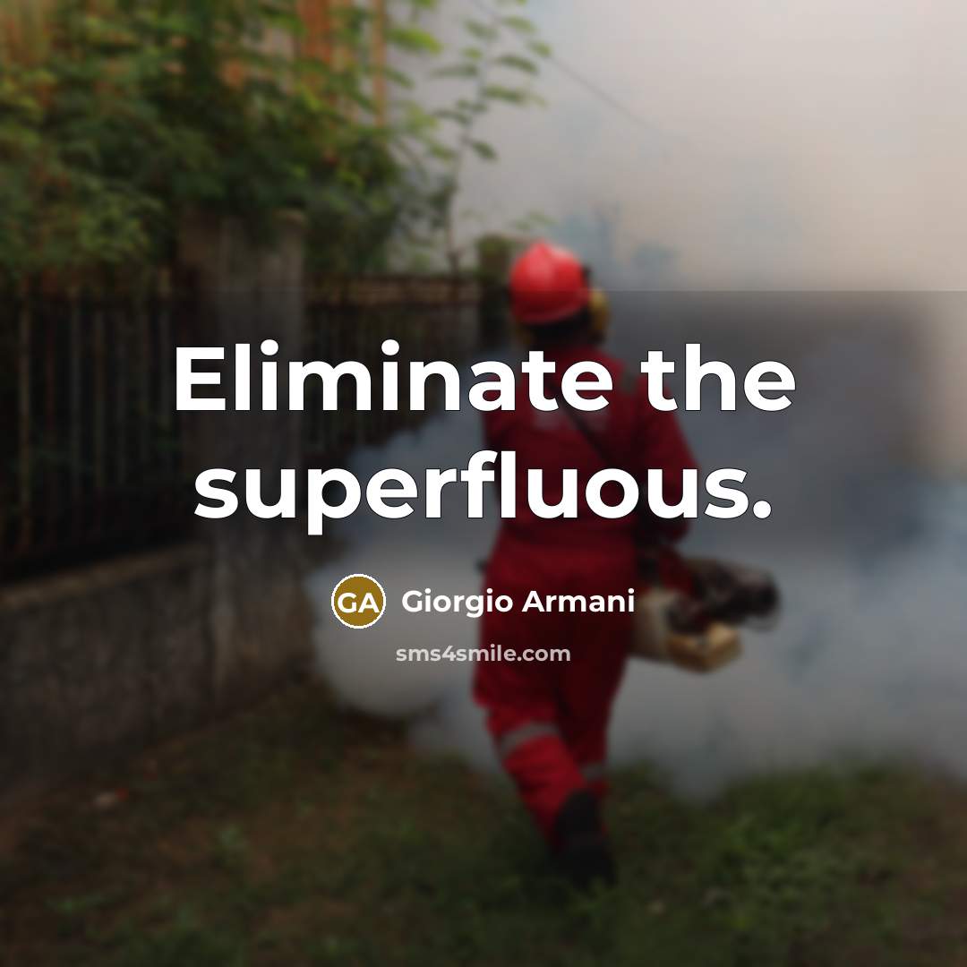 “Eliminate the superfluous.…” quote by Giorgio Armani