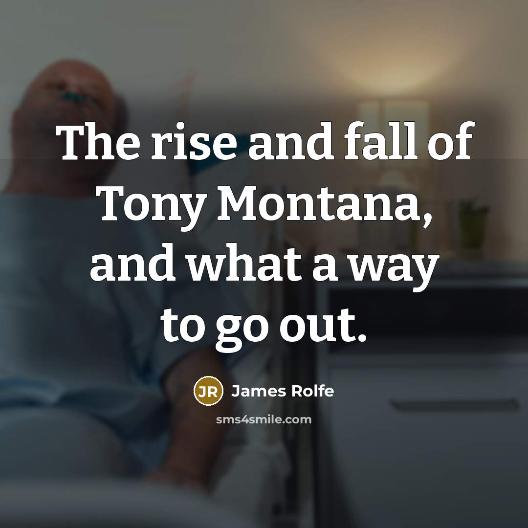 “The rise and fall of Tony Montana, and what a way to go out.” quote by James Rolfe