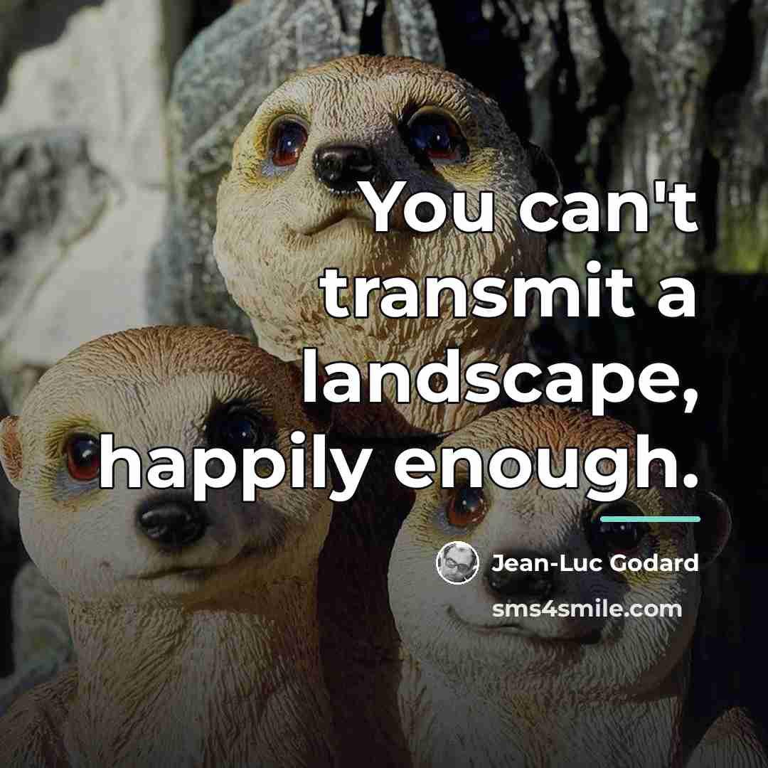 “You can't transmit a landscape, happily enough.…” quote by Jean-Luc Godard