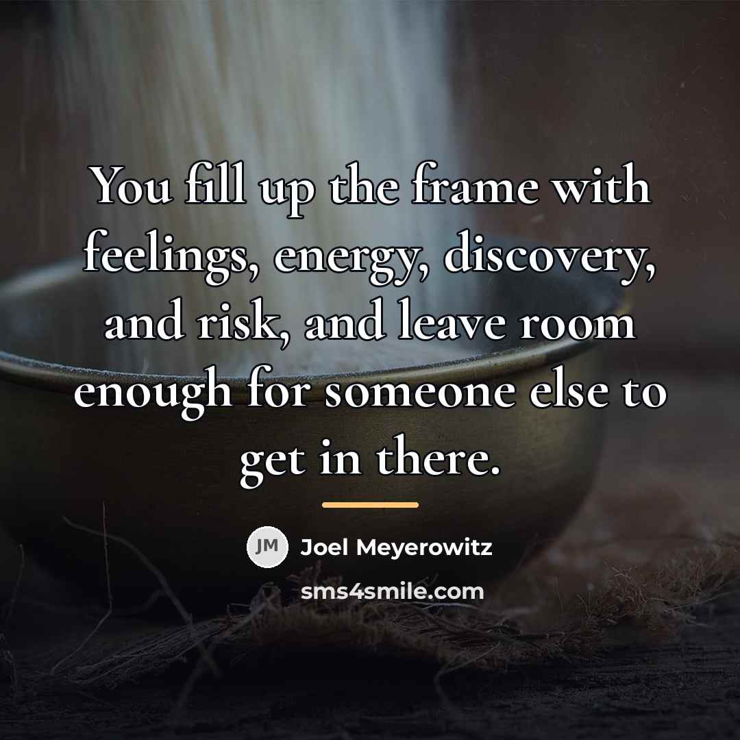 “You fill up the frame with feelings, energy, discovery, and…” quote by Joel Meyerowitz