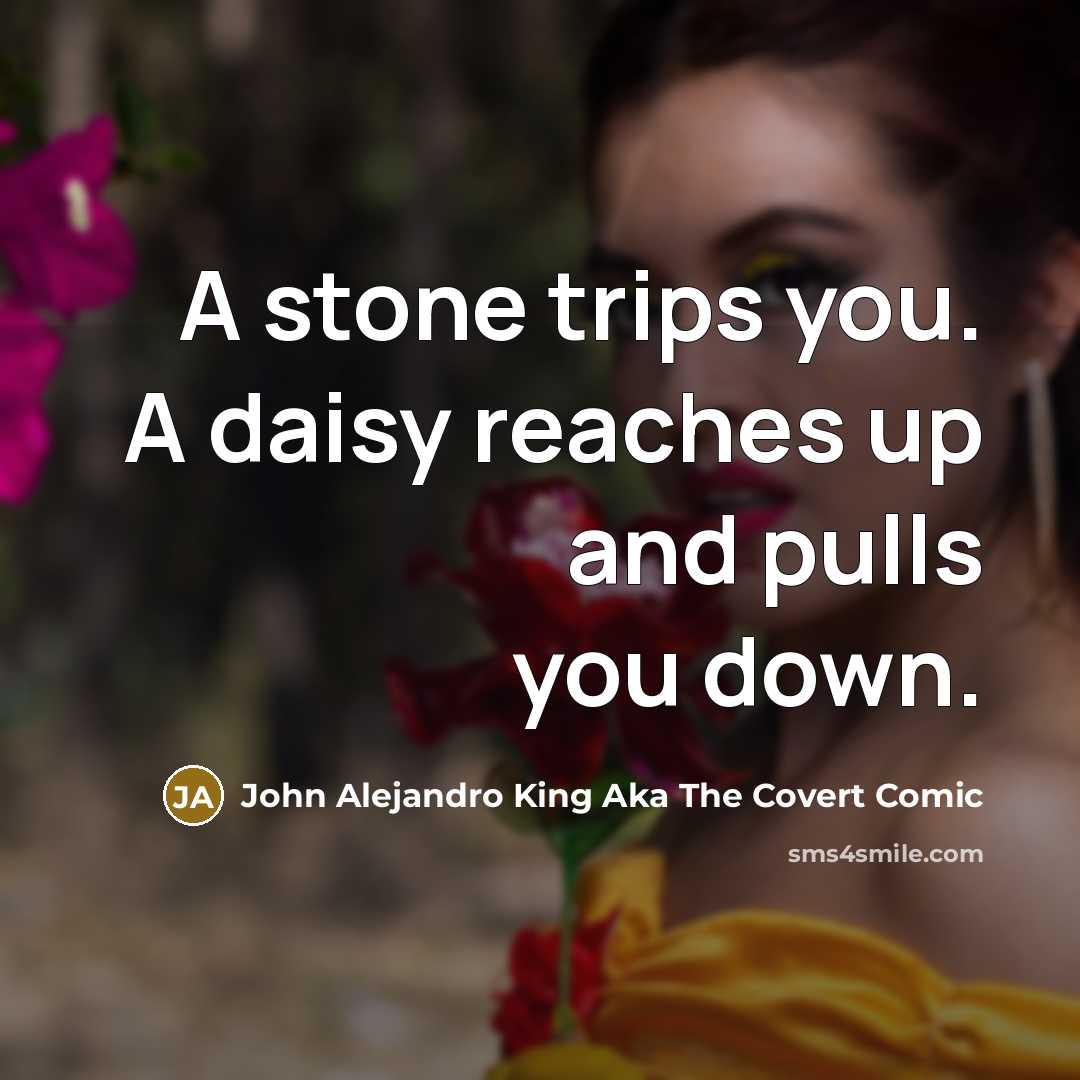 “A stone trips you. A daisy reaches up and pulls…” quote by John Alejandro King Aka The Covert Comic