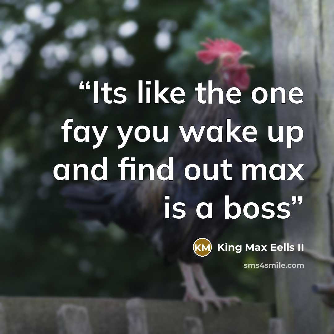 “Its like the one fay you wake up and find out max is a boss” quote by King Max Eells II