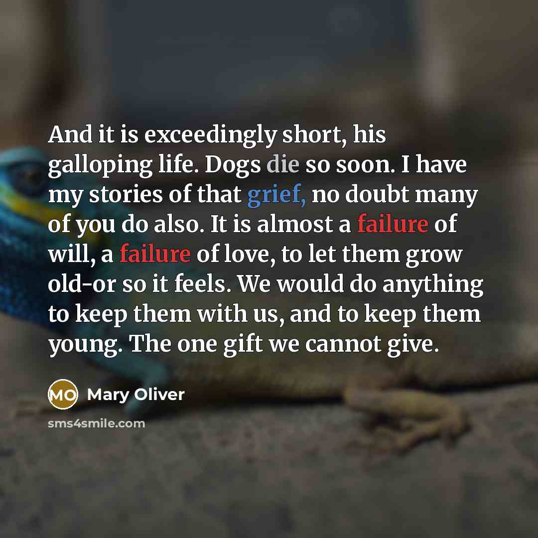 “And it is exceedingly short, his galloping life. Dogs die…” quote by Mary Oliver