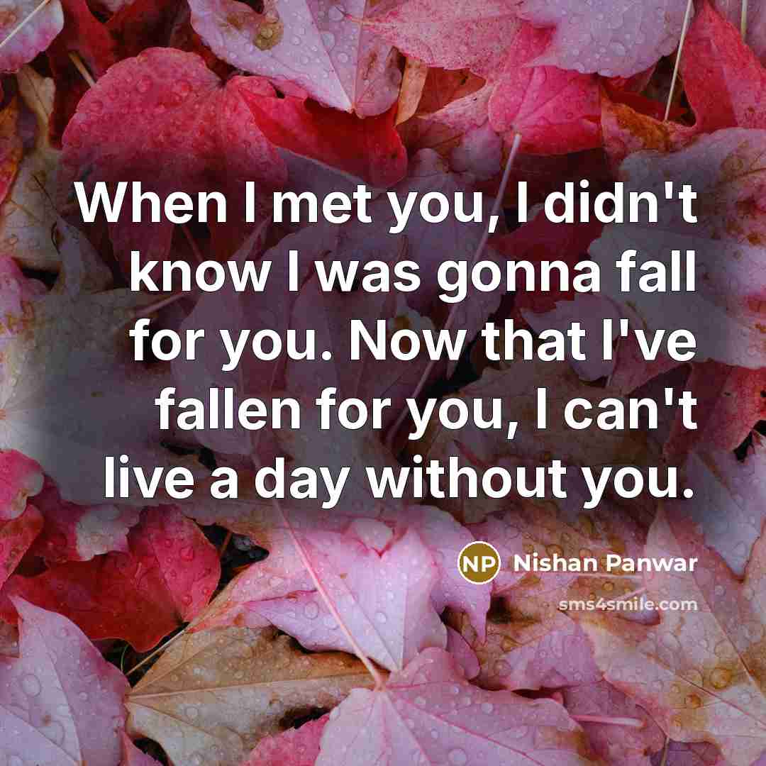 “When I met you, I didn't know I was gonna…” quote by Nishan Panwar