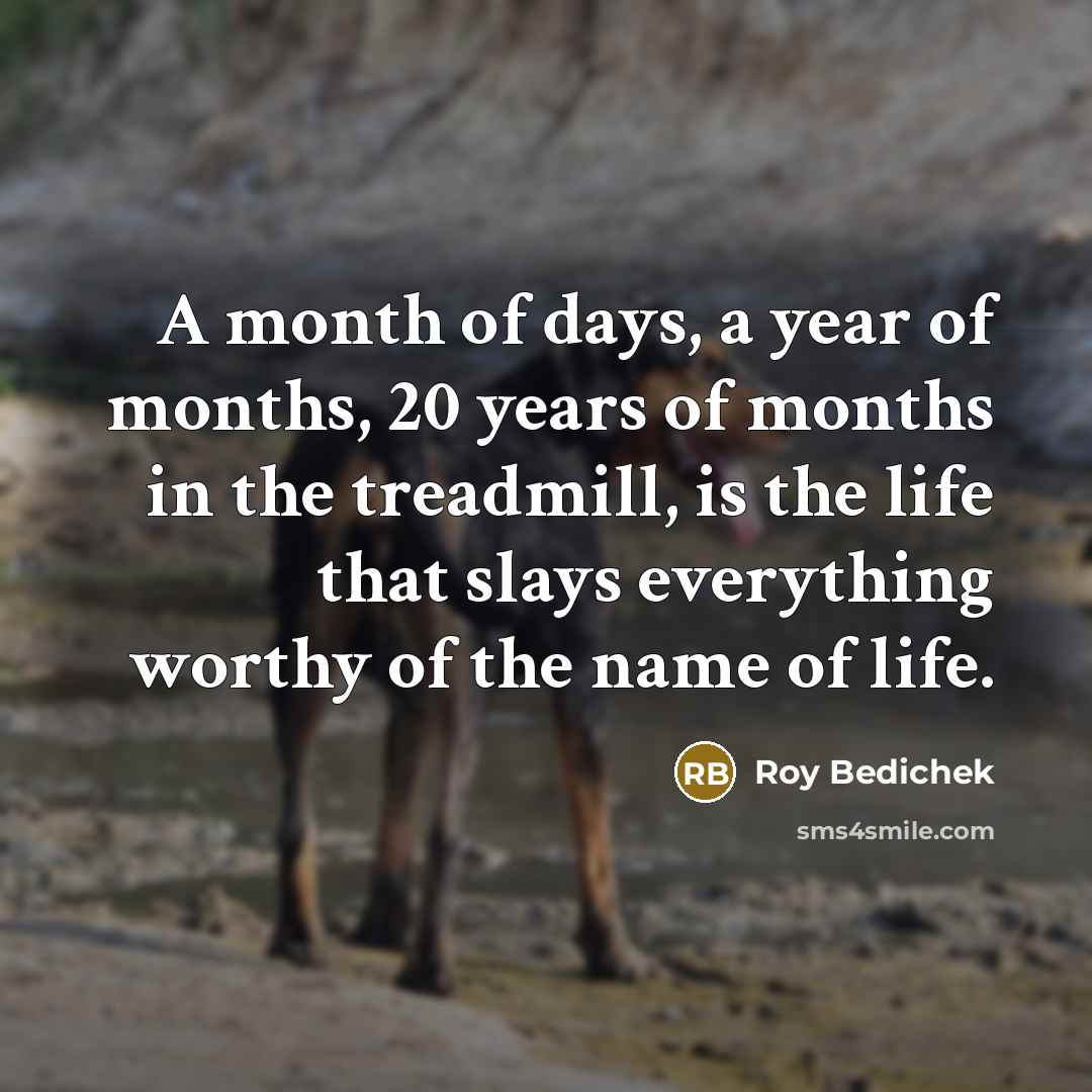 “A month of days, a year of months, 20 years…” quote by Roy Bedichek