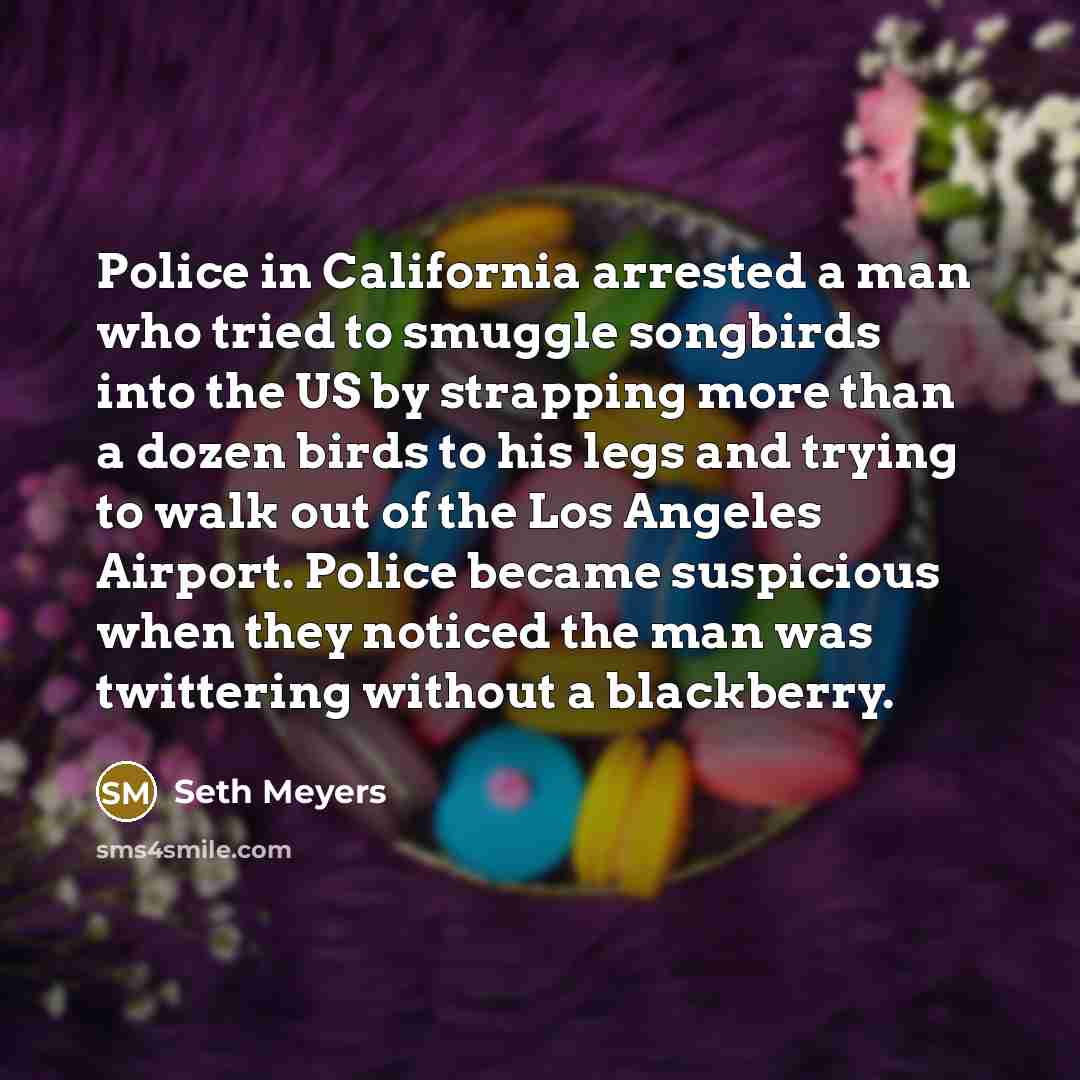 “Police in California arrested a man who tried to smuggle…” quote by Seth Meyers