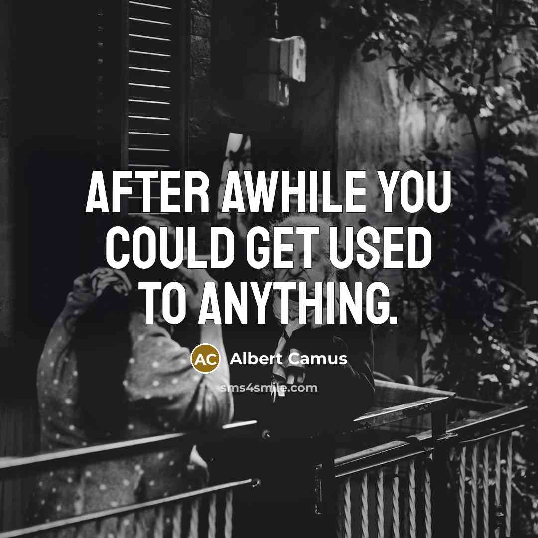 “After awhile you could get used to anything.…” quote by Albert Camus