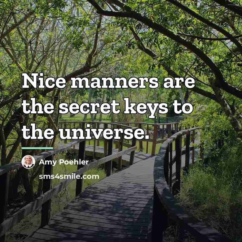 “Nice manners are the secret keys to the universe.…” quote by Amy Poehler