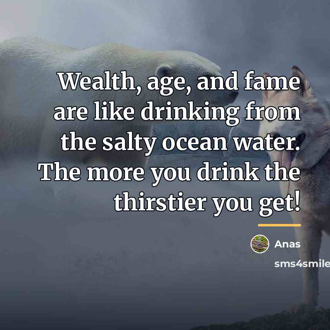 “Wealth, age, and fame are like drinking from the salty…” quote by Anas