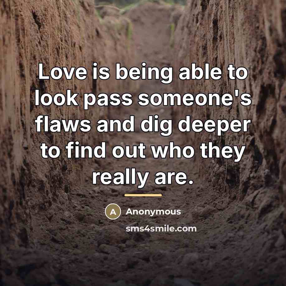 “Love is being able to look pass someone's flaws and…” quote by Anonymous