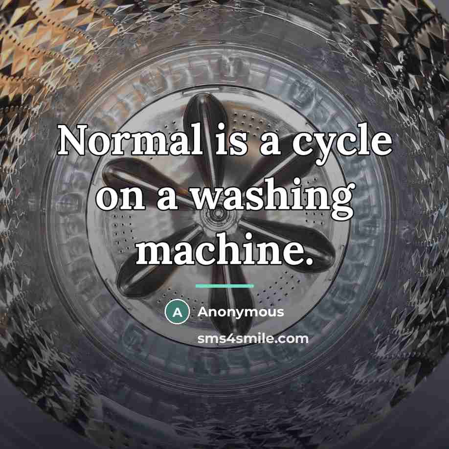 “Normal is a cycle on a washing machine.…” quote by Anonymous