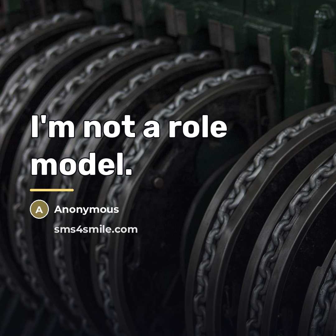 “I'm not a role model.…” quote by Anonymous