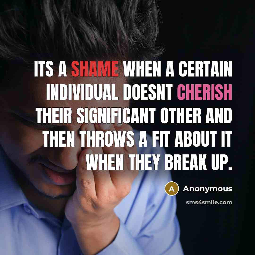 “Its a shame when a certain individual doesnt cherish their significant other and then throws a fit about it when they break up.” quote by Anonymous