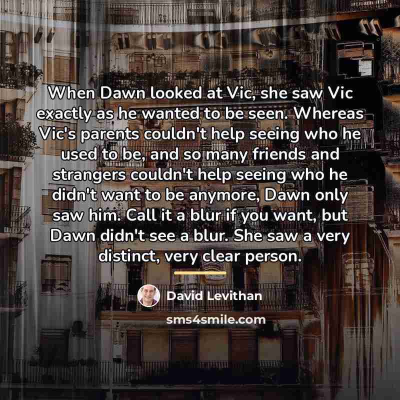 “When Dawn looked at Vic, she saw Vic exactly as…” quote by David Levithan