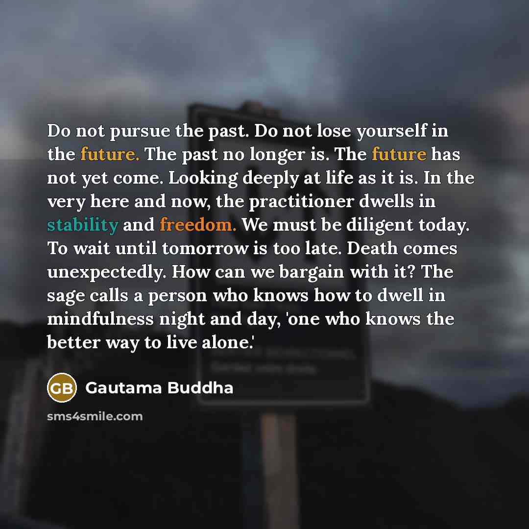 “Do not pursue the past. Do not lose yourself in…” quote by Gautama Buddha