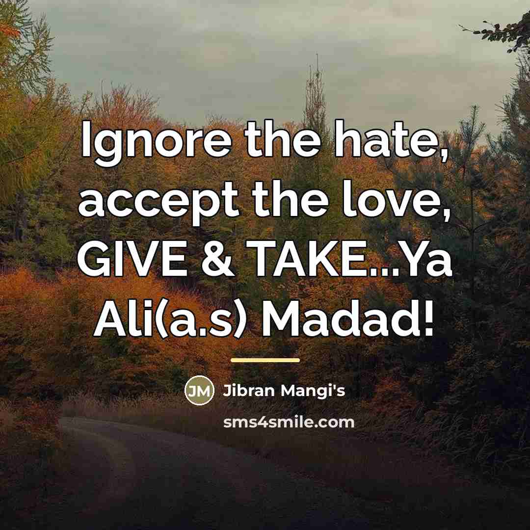 “Ignore the hate, accept the love, GIVE & TAKE...Ya Ali(a.s)…” quote by Jibran Mangi's