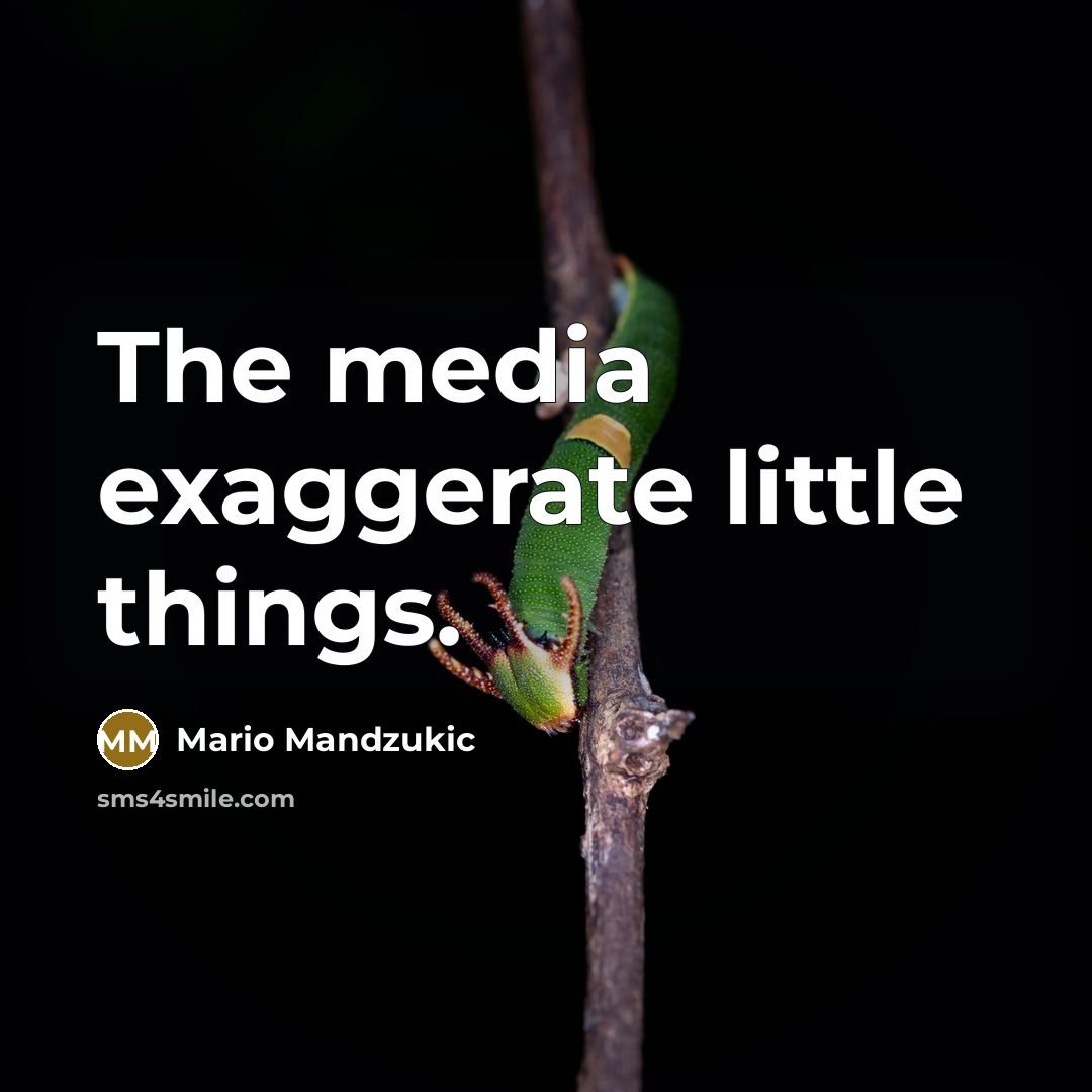 “The media exaggerate little things.…” quote by Mario Mandzukic