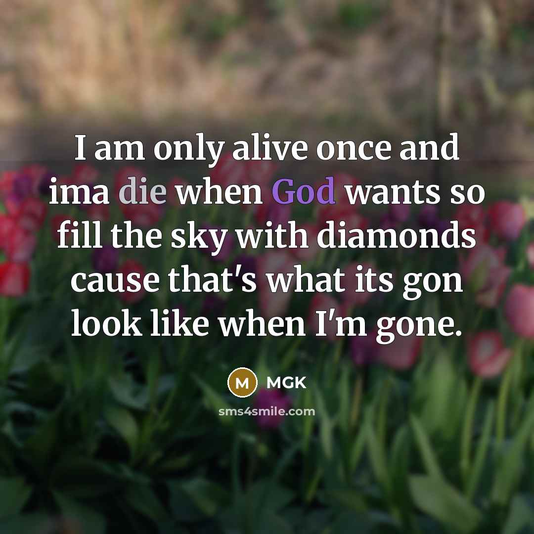 “I am only alive once and ima die when God wants so fill the sky with diamonds cause that's what its gon look like when I'm gone.” quote by Mgk
