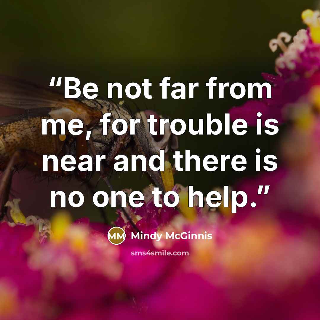 “Be not far from me, for trouble is near and there is no one to help.” quote by Mindy McGinnis