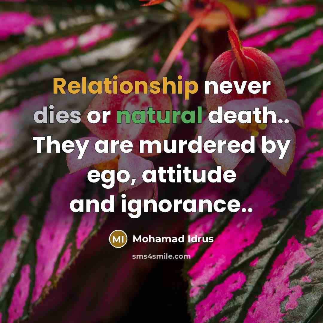 “Relationship never dies or natural death.. They are murdered by ego, attitude and ignorance..” quote by Mohamad Idrus