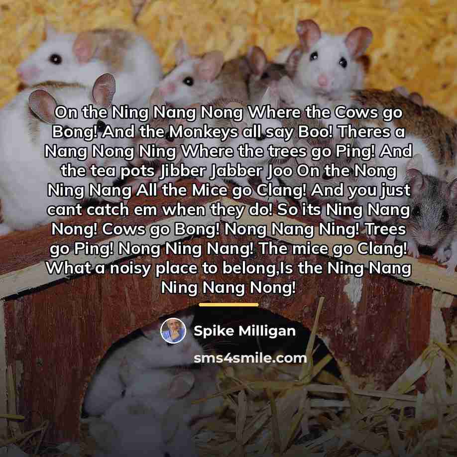 “On the Ning Nang Nong Where the Cows go Bong!…” quote by Spike Milligan